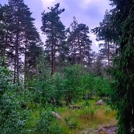 Avara Kolmen Makuuhuoneen Lasitetulla Parvekkeella Ja 2 Wcllae
